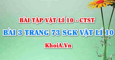 Bài 3 trang 73 SGK Vật lí 10 Chân trời sáng tạo